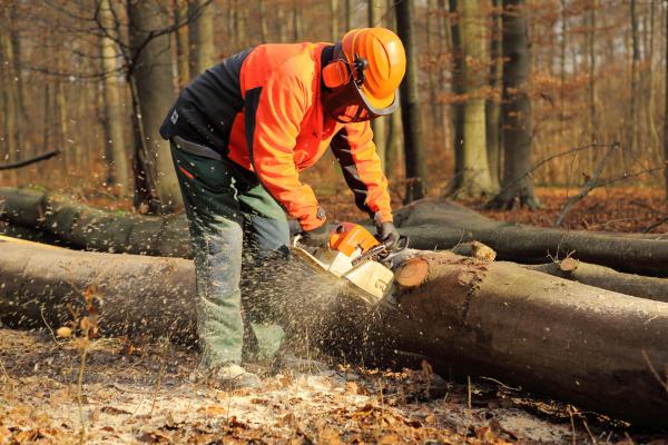 Während der Forstarbeit trägt man eine Schutzausrüstung bestehend aus festem Schuhwerk mit Stahlkappe, Schnittschutzhose, Warnjacke, Helm mit Gehör- und Gesichtsschutz sowie Schnittschutzhandschuhen.