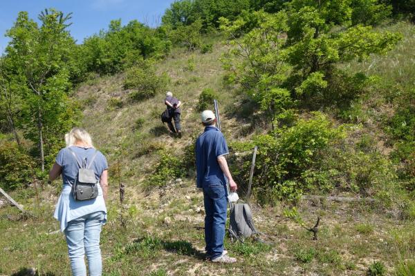 Das Als Dankeschön für die Mithilfe bei den Landschaftspflegeeinsätzen lud das Biosphärenpark Wienerwald Management die Biosphere Volunteers zu einer Fachexkursion an die Thermenlinie ein. 