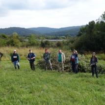 Freiwilligengruppe bei der Landschaftspflege