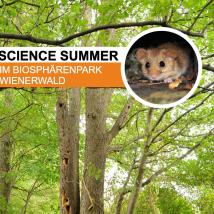 Deckblatt Folder Science Summer: Laubbäume im Hintergrund, Siebenschläfer kleines Bild