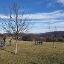 Personen schneiden Obstbäume auf eine Wiese mit Wald und blauen Himmel im Hintergrund