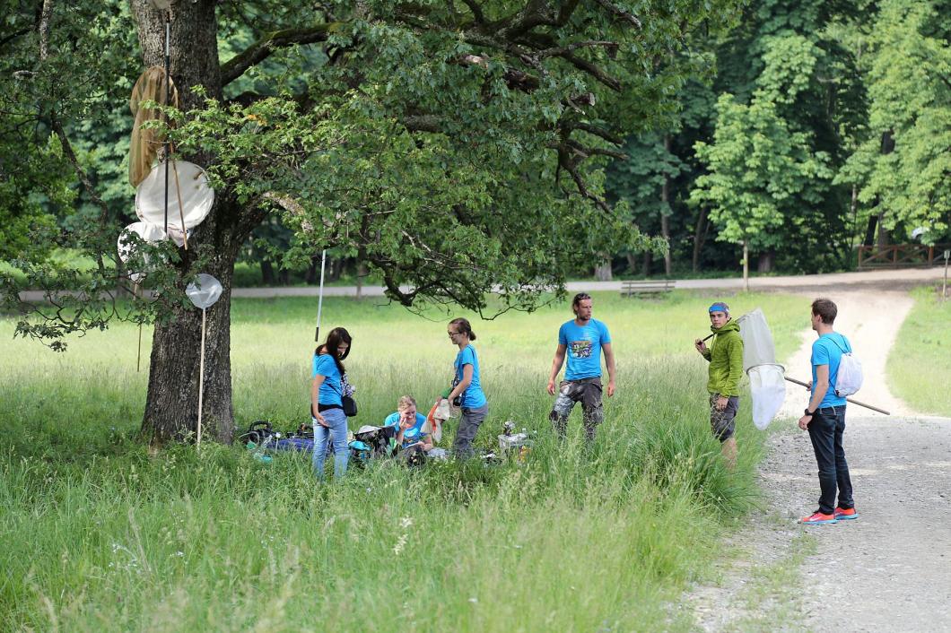 Veranstaltungsort Tag der Artenvielfalt 2017 Lainzer Tiergarten 