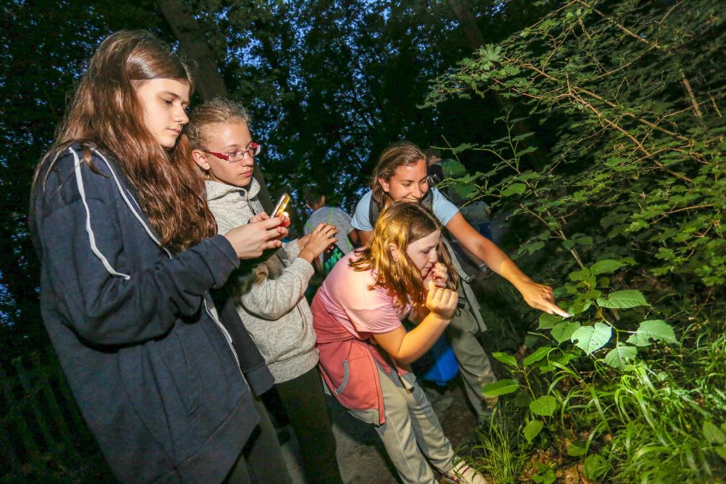 Am 14. Juni ab 20.00 Uhr starten die besonders spannenden Führungen in der Dämmerung und Dunkelheit, bei denen Jung und Alt gemeinsam mit ExpertInnen nachtaktiven Tieren nachspüren können. 