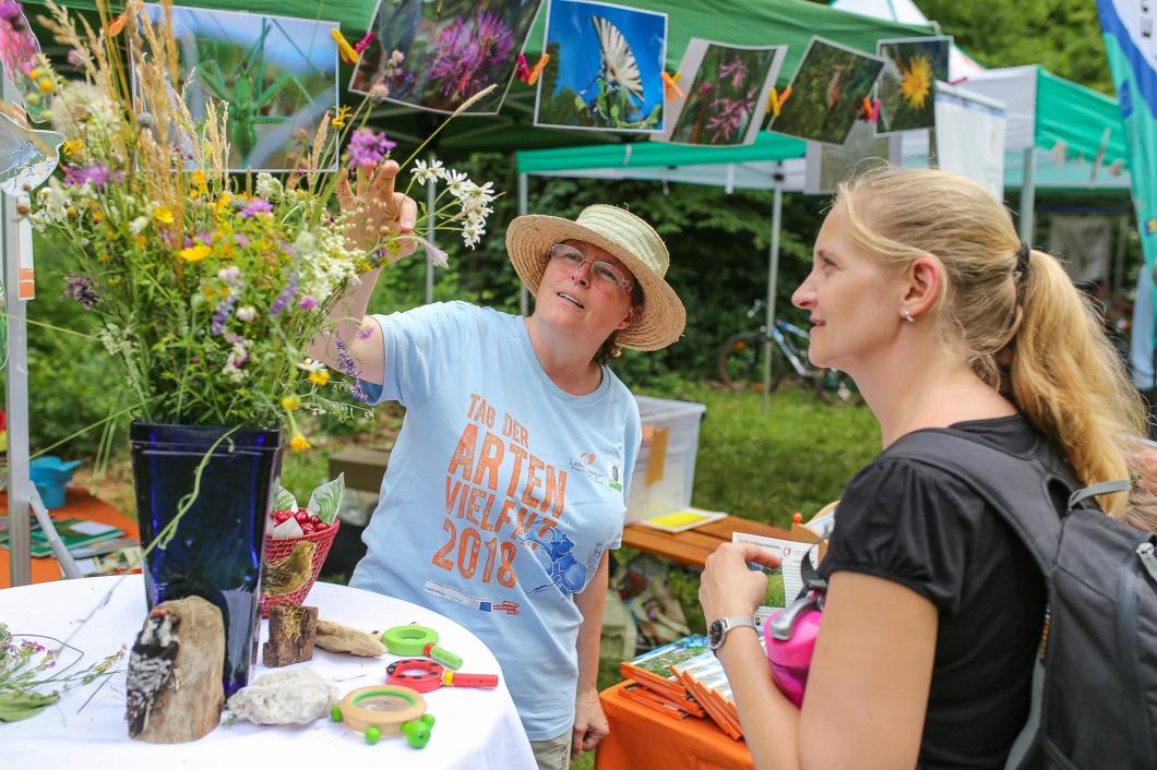 Am 15. Juni um 13 Uhr startet das große Fest der Artenvielfalt am Areal der Theophil Hansen Villa in Pressbaum! Die BesucherInnen erwartet ein umfangreiches Rahmenprogramm!