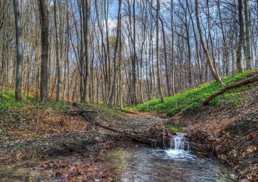 Der Ottakringer Wald, über Jahrhunderte Holz- und Wasserlieferant für die Bevölkerung, dient heute hauptsächlich als Erholungsgebiet.