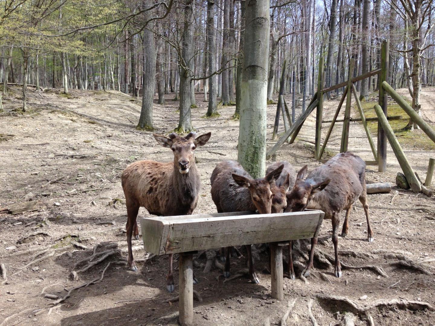 Naturpark Purkersdorf Biospharenpark Wienerwald