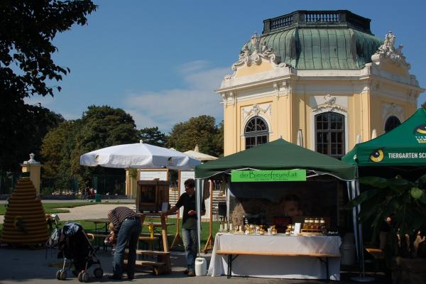 Der Bienenfreund in Schönbrunn