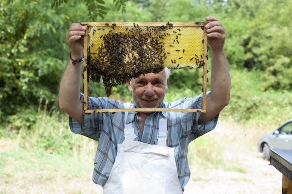 Imker Niessner mit seinen Bienen