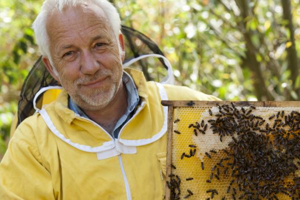 Imker Niessner mit seinen Bienen