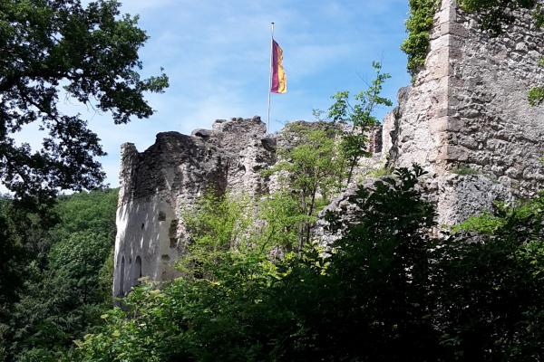 Ruine Johannstein