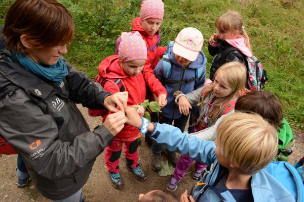 Waldferienwoche