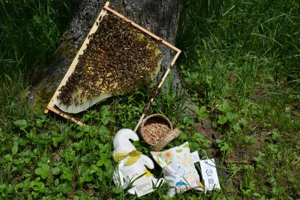 Bienenwunder