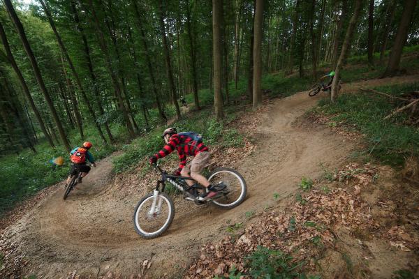 Mountainbiken auf den Trails im Wienerwald