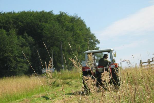 Klassische Mahd einer Wienerwaldwiese. Hier arbeiten viele LandwirtInnen nur noch im Nebenerwerb.