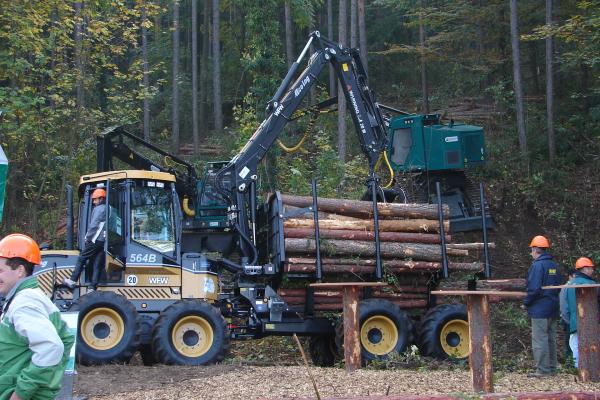 Der Forwarder transportiert das im Rahmen der Ernte angefallene Holz zu Holzlagerplätzen.
