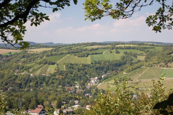 Panoramablick auf Wienerwald