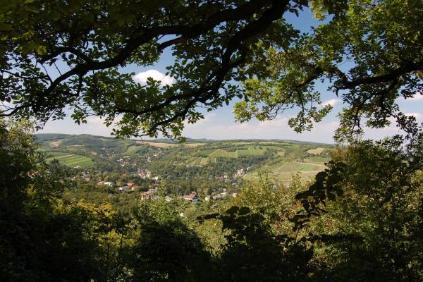 Blick auf WEinbaulandschaft