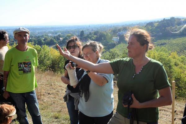 Pflegeaktion im Mukental (Wien-Döbling)