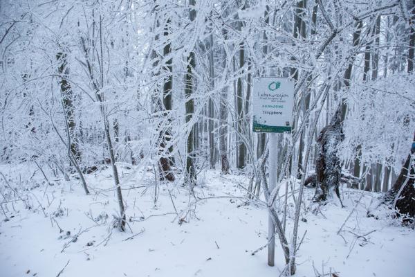 Kernzone Troppberg im Winter