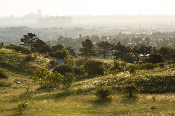 Blick von der Perchtoldsdorfer Heide auf Wien. Hier kommen viele schützenswerte Arten direkt am Rande der Großstadt vor.