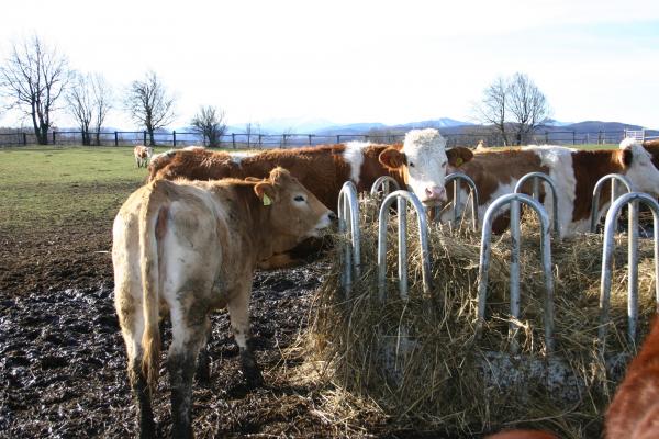 Der Großteil der landwirtschaftlichen Betriebe liegt in der Entwicklungszone des Biosphärenpark Wienerwald.