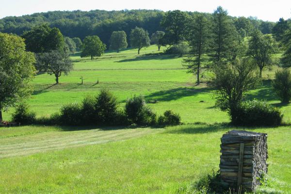 Typische Kulturlandschaft im Wienerwald in der Gemeinde Brand-Laaben