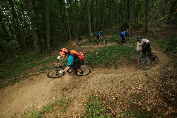 Bereits im Jänner 2016 sind die Vorarbeiten für den neuen Trailpark in Weidlingbach angelaufen. Eröffnet wurde der neue Trailpark im Sommer 2016.