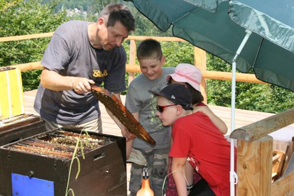 Bienenplattform Naturpark Purkersdorf