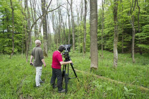 Nistkästen im Blickpunkt des Universum-Filmteams.