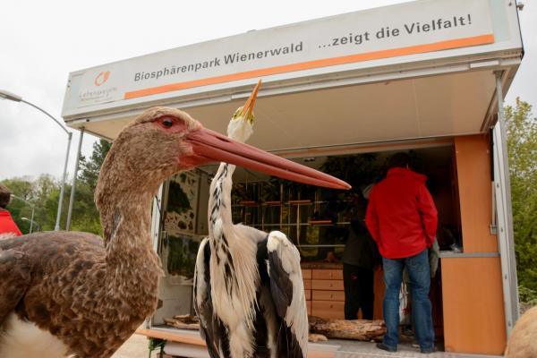 Mobile Waldschule am Biosphärepark Cup