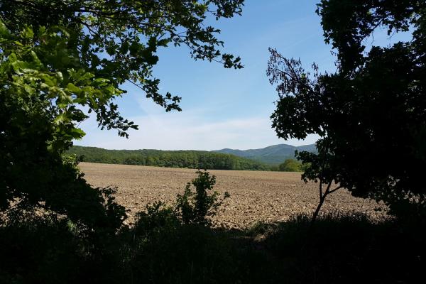 Ausblick über Äcker und Wälder in Richtung Osten.