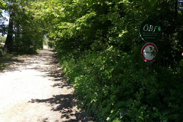 Weiter auf einer geschotterten Forststraße der Österreichischen Bundesforste.