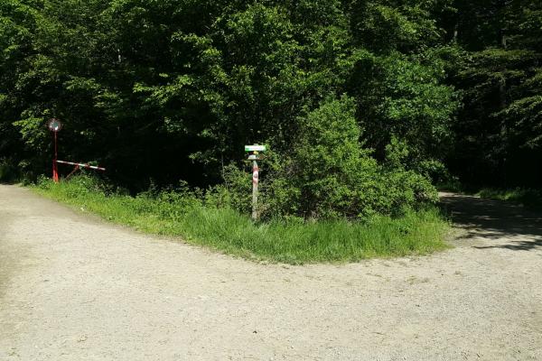 An der Kreuzung am Waldrand biegt man links ab. Der Waldweg darf auch von Radfahrern benutzt werden.