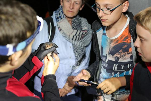 Begeisterte NaturliebhaberInnen konnten den teilnehmenden ExpertInnen bei ihrer Arbeit über die Schulter schauen.