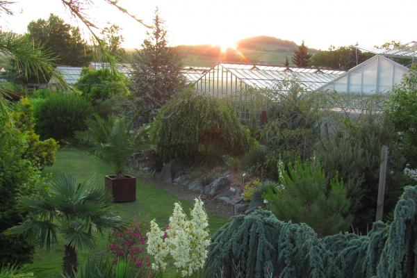 Gärtnerei AustroPalm