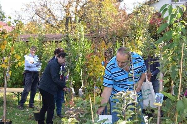 Ausgewählte Baumschulen wie die Baumschule Hemmelmeyer halfen den richtigen Obstbaum für den eigenen Garten zu finden.