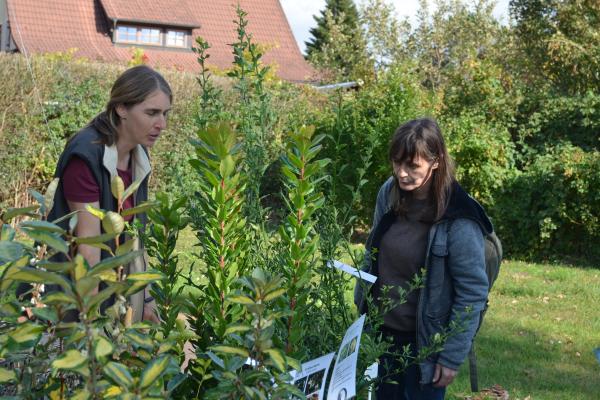 Beim BPWW-Partnerbetrieb Austropalm konnten auch Exoten wie Erdbeerbaum und winterharte Bananen erstanden werden.