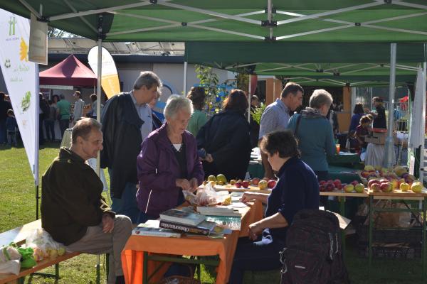 Mehr als 200 Fruchtmuster wurden zur Sortenbestimmung abgegeben.