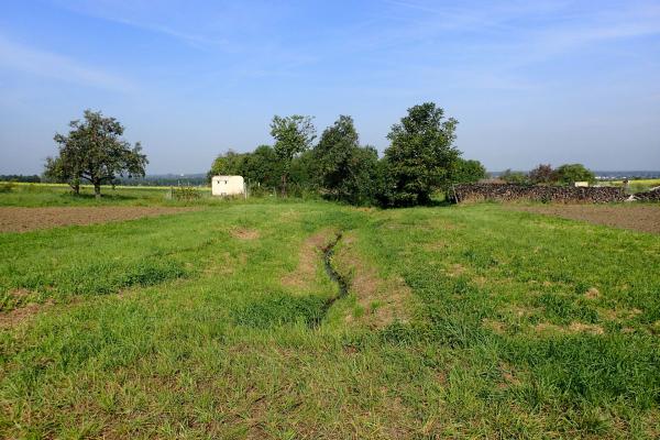 Am nördlichen Rand des Wienerwalds münden viele Bäche im Tullnerfeld.