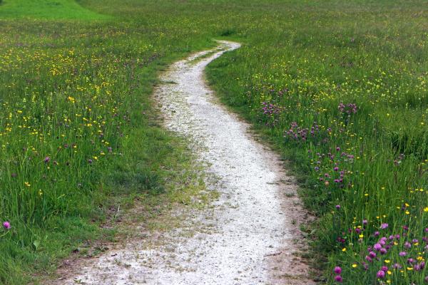 Kräuterwanderung Schrottmayer