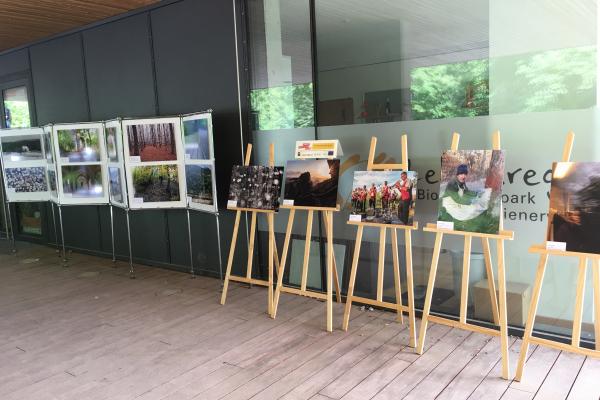 Die besten 25 Bilder des Fotowettbewerbes "Ich und mein Wienerwald" wurden in einer eigenen Fotoausstellung präsentiert.