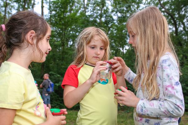 Bei den kostenlosen Naturführungen am 9. Juni konnte man gemeinsam mit Expertinnen auf Forschungsexpedition gehen.