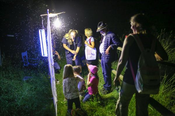 Ein unvergessliches Abenteuer war die Nachtwanderung auch für junge Teilnehmerinnen - besonders spannend waren die Glühwürmchen und Zikaden.
