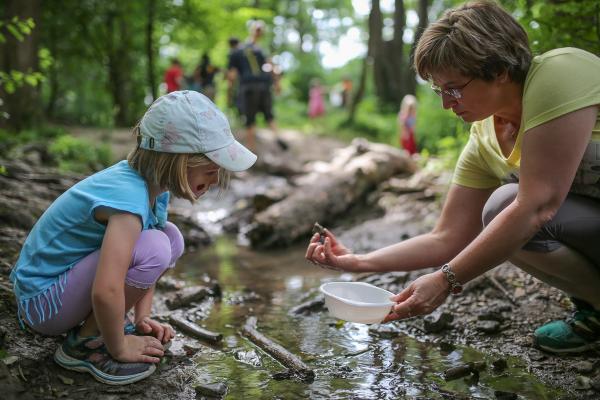 Bei den Naturführungen für Kinder wurden u.a. Gewässerlebewesen erkundet.