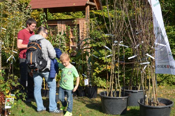 Rund 2.500 Besucherinnen kamen zum Obstbaumtag 2018 in den Lainzer Tiergarten