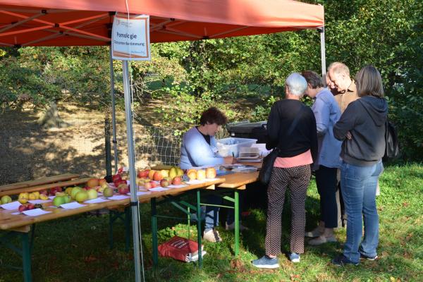 Am Obstbaumtag bestimmte die PomologIn mehr als 100 Obstsorten