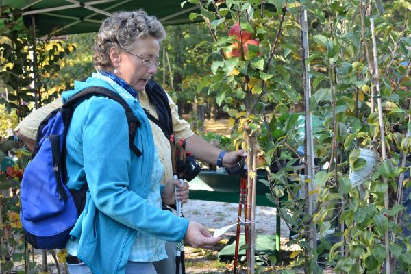 Streuobstwiesen und Obstbaumalleen prägen weite Teile der Landschaft im Wienerwald