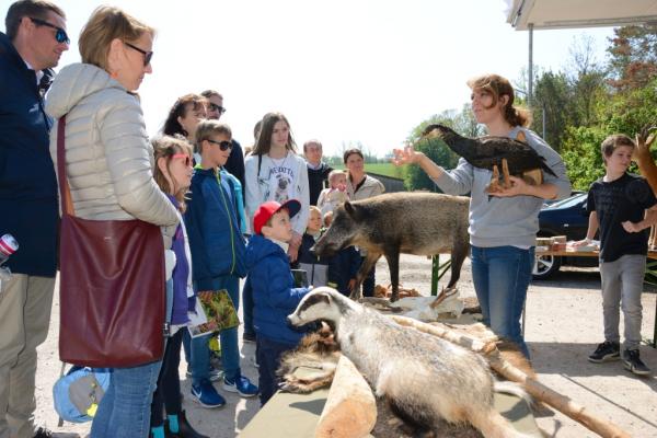 Die mobile Waldschule WILD.LIVE! von den ÖBf war ebenfalls vor Ort.