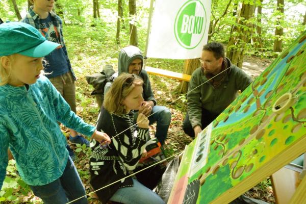 Die BOKU war mit zwei Instituten und spannenden Fragen beim Biosphärenpark Cup 2019 mit dabei.