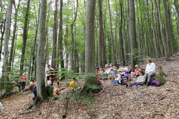 Rund 50 WandererInnen kamen mit auf die rund 5 km lange Rundtour und ließen sich - begleitet von einer Harfespielerin und einem Bockpfeifenspieler - bei kurzen Erzählstopps Wundersames aus der Märchen- und Sagenwelt, aber auch Wissenswertes über die Natur in Pressbaum erzählen.